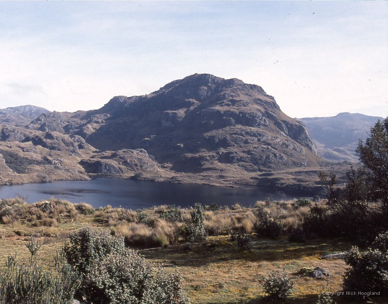 Cajas4.jpg