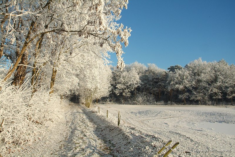 DSCF0459.JPG