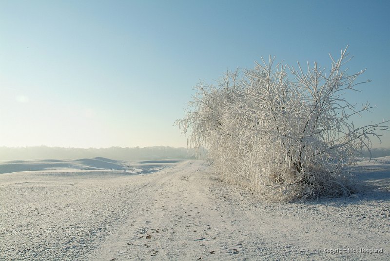 DSCF0462.JPG