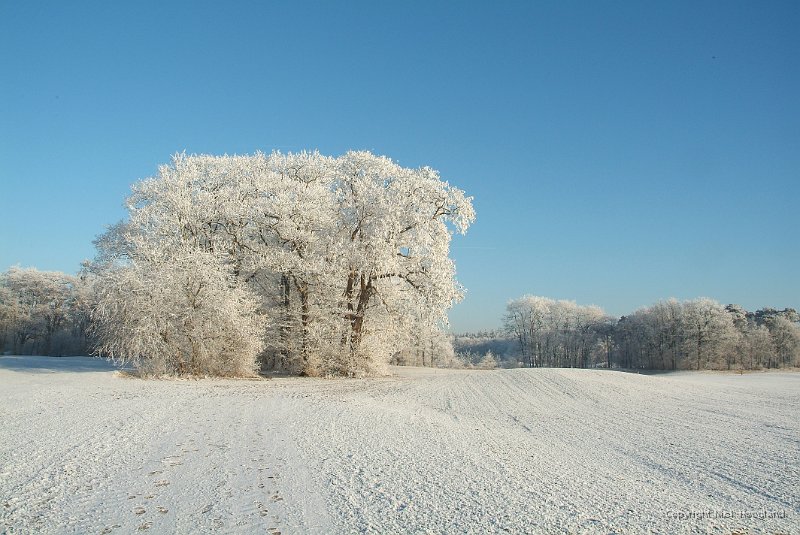 DSCF0468.JPG