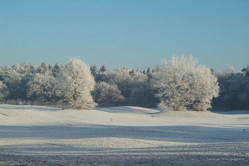 DSCF0472.JPG