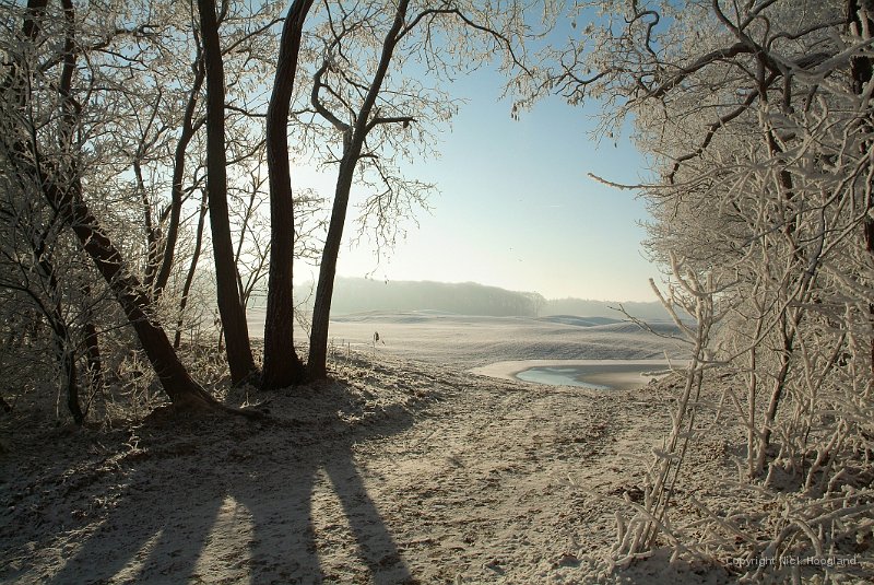 DSCF0473.JPG
