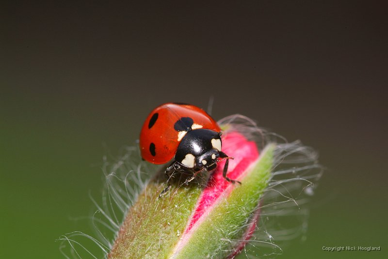 DSCF7512.JPG