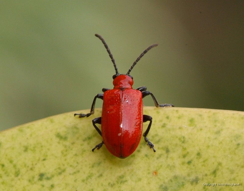 DSCF8192.JPG
