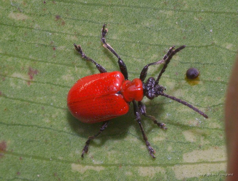 DSCF8242.JPG