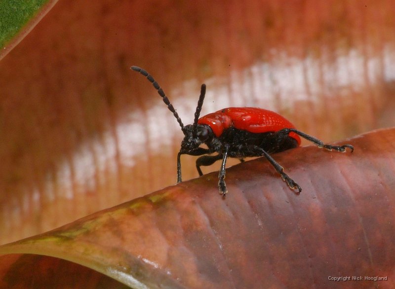 DSCF8251.JPG
