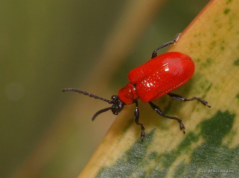 DSCF8294.JPG