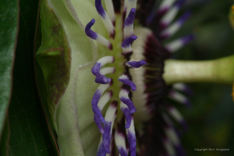 DSCF8298.JPG