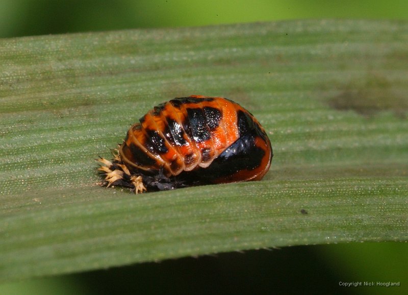 DSCF8316.JPG