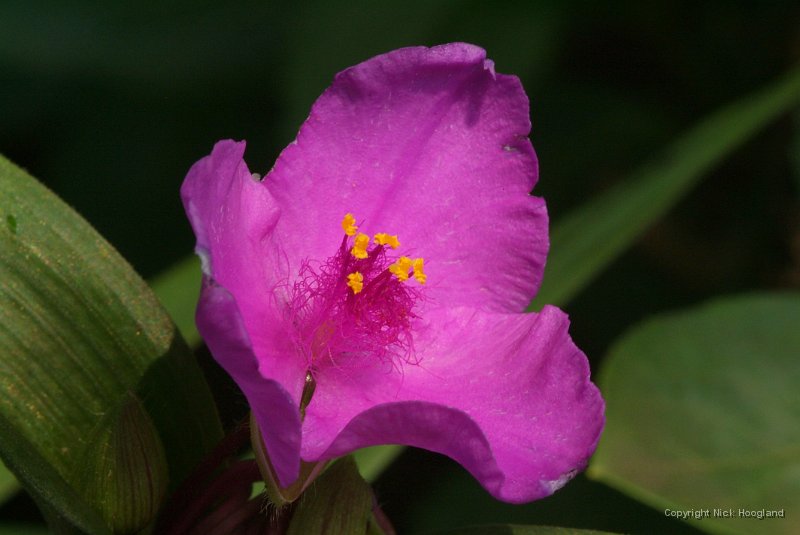 DSCF8320.JPG