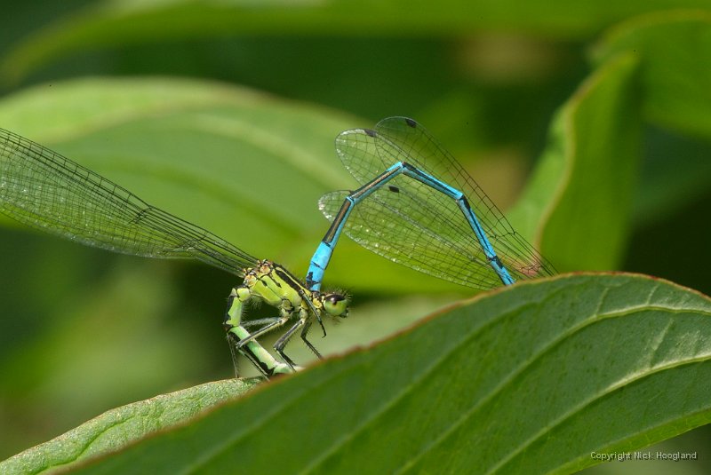 DSCF8337.JPG