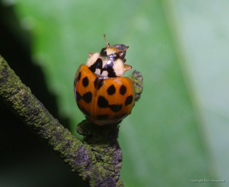 DSCF8356.JPG