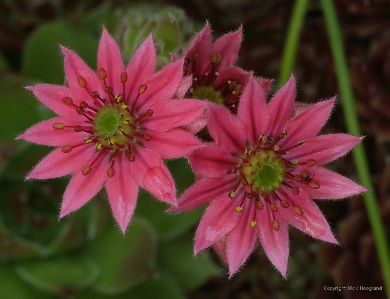 DSCF8538.JPG