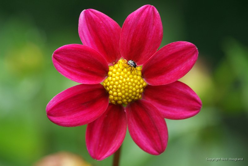 DSCF8857.JPG