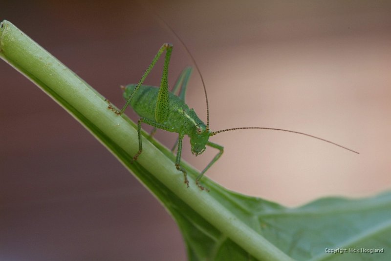 DSCF8879.JPG