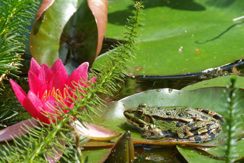 DSCF8910.JPG