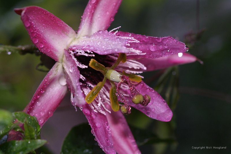 DSCF9007.JPG