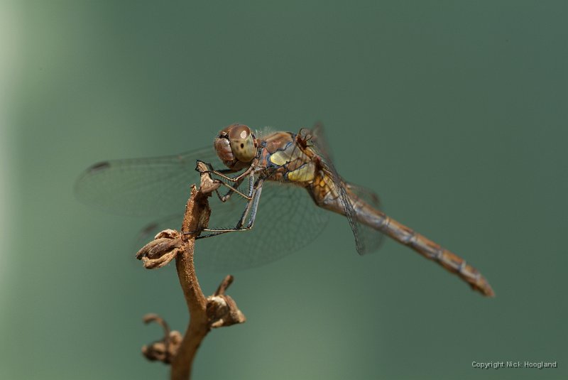 DSCF9473.JPG
