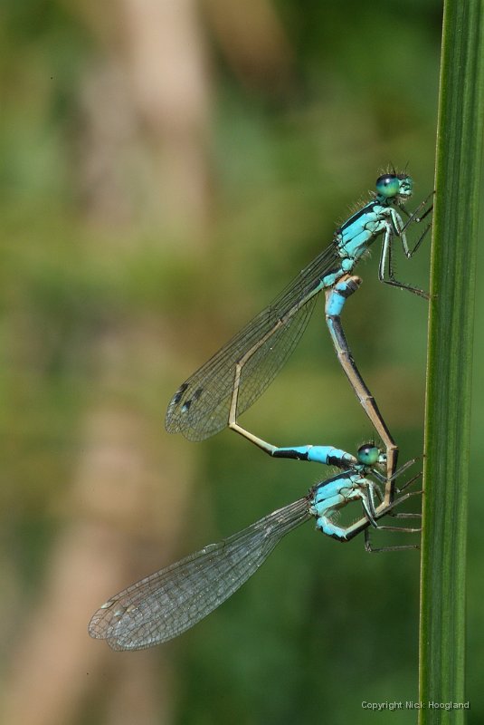 DSCF9539.JPG