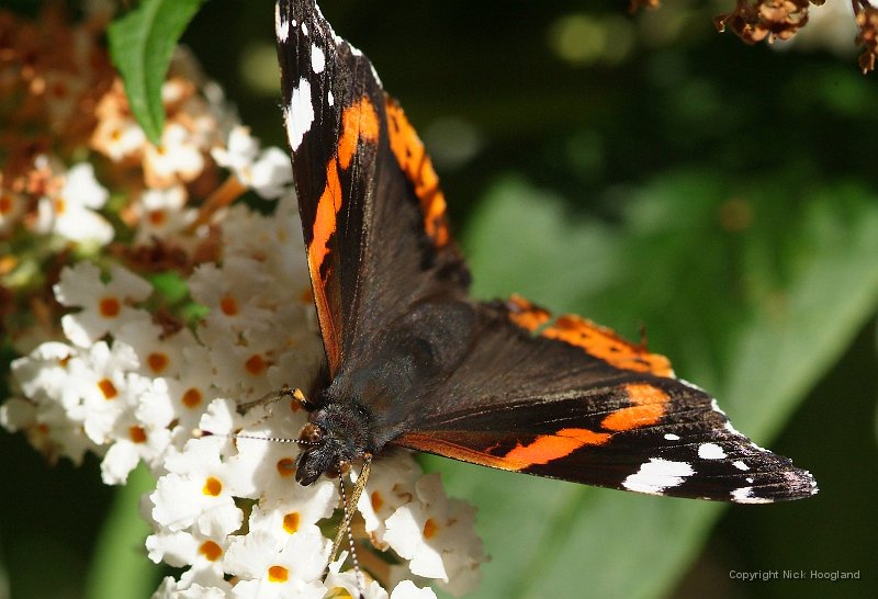 DSCF9580.JPG
